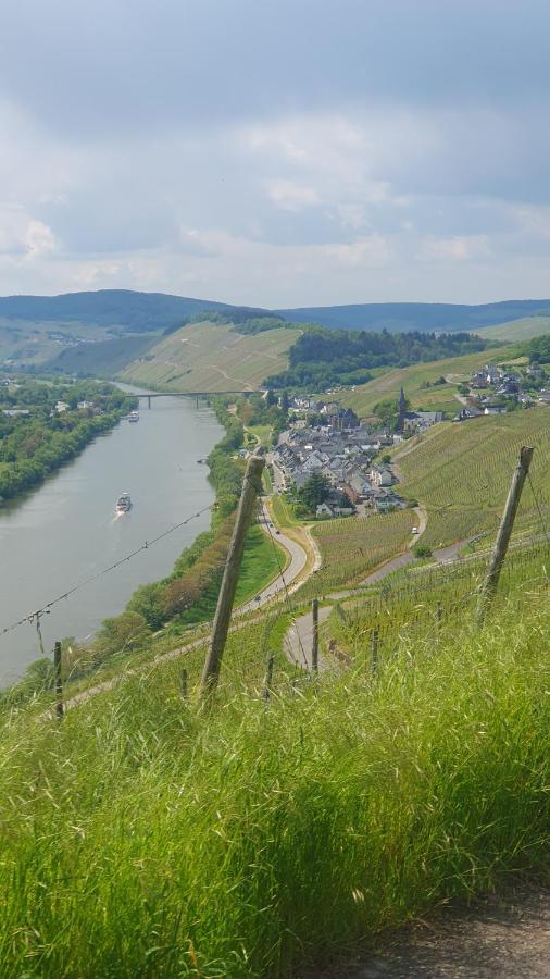 Ferienwohnung Im Moseltal Veldenz Экстерьер фото