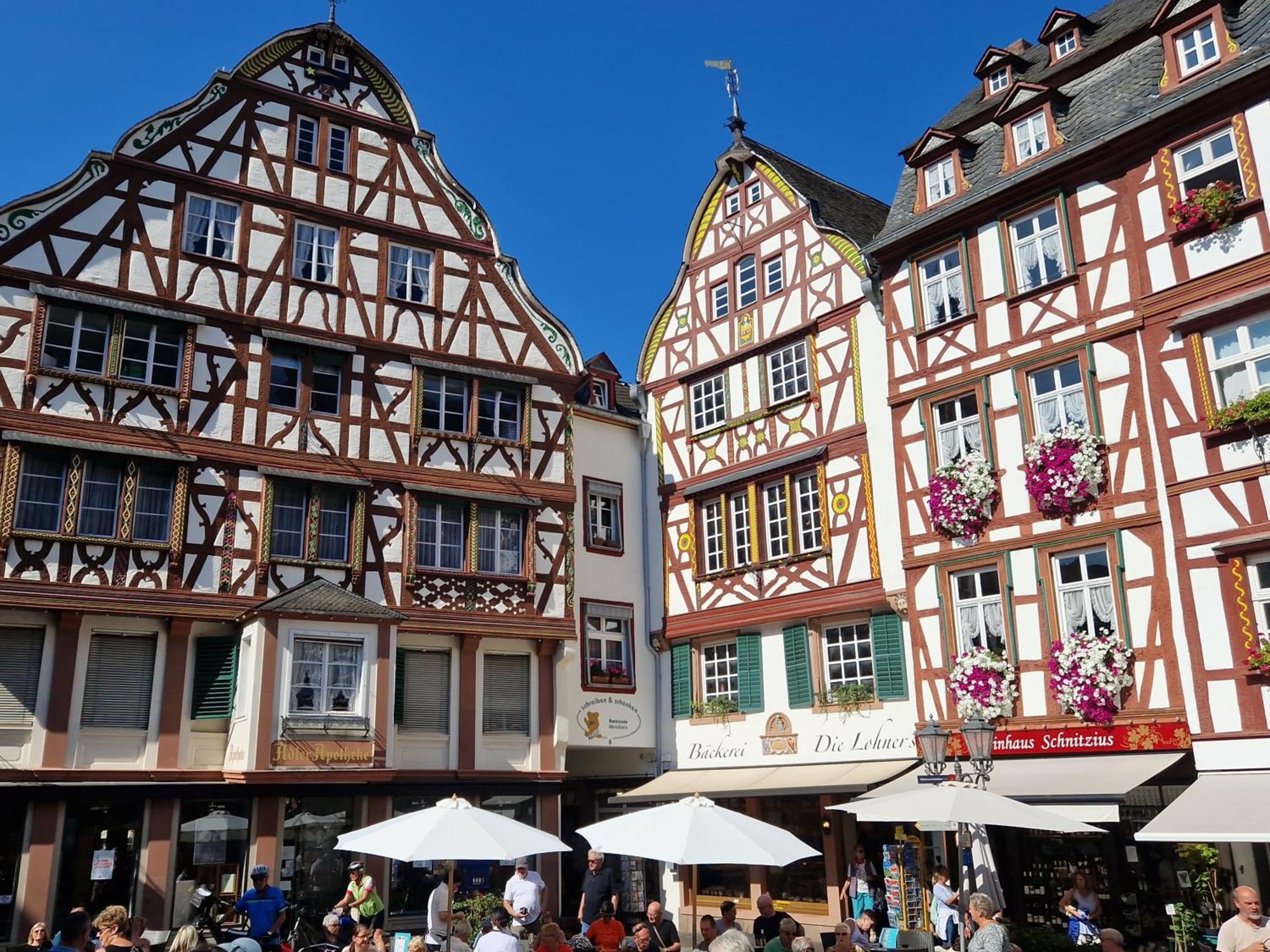 Ferienwohnung Im Moseltal Veldenz Экстерьер фото
